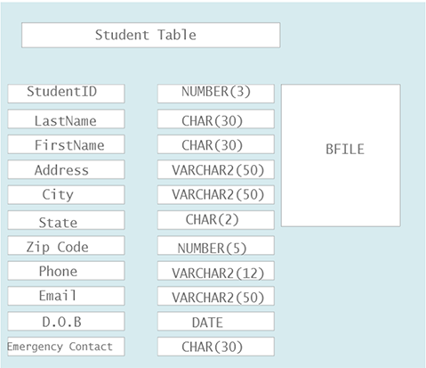 Database table example